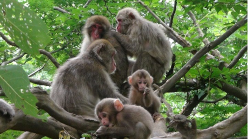 模擬授業１イメージ