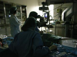 科学技術と文化